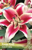 b45c6882-47d9-11ea-96d1-005056c00008-1