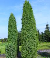 4338a96d-f2a2-11e5-9ba7-001e673ebdea-1