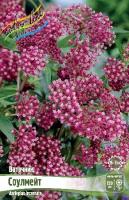 fed8b68b-1ba6-11e8-9db1-005056c00008-1