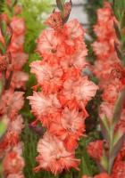 25753e6e-b440-11ee-8bd7-001e673ebdea-1