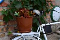 be7d2436-5750-11ed-aea3-001e673ebdea-1