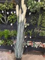 0eae311c-f2b3-11ef-8915-246e9611e8f5-1