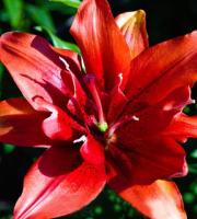 6913f3f2-b389-11ee-8bd7-001e673ebdea-1