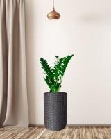 b4accc31-df0d-11f0-891e-246e9611e8f6-1