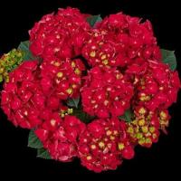 073ad993-d810-11f0-891e-246e9611e8f6-1