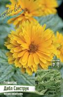 57692303-660f-11ed-bd4c-001e673ebdea-1