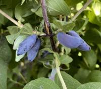 096e69c1-b8b7-11f0-891d-246e9611e8f7-1