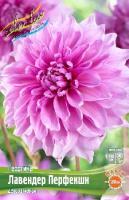 20c3ede8-2240-11e0-9fb4-00500454e615-1