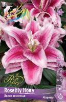 5de678e9-7b64-11e2-bdd5-00500454e615-1