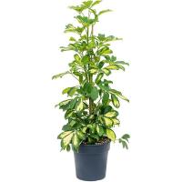 ab2b2fda-7e78-11ec-8bcd-005056c00008-1