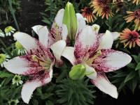 557639cc-b386-11ee-8bd7-001e673ebdea-1