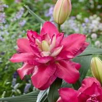 601d3c4a-d62b-11ef-8915-246e9611e8f5-1