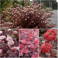 c846f051-2f89-11ef-890e-246e9611e8f7-1