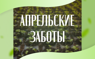 Время активных работ в саду!