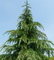 781070ae-e5e1-11ee-890a-246e9611e8f5-1