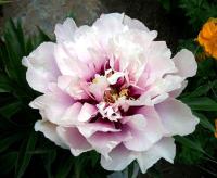 10475917-b6d3-11ee-9f80-001e673ebdea-1