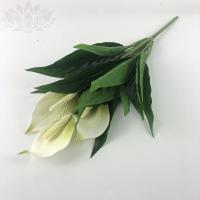 fe58c2de-caae-11f0-891e-246e9611e8f6-1