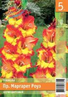 f1b57f62-6f2d-11ec-8bcd-005056c00008-1