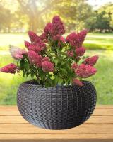 8eea4f8d-da8a-11f0-891e-246e9611e8f6-1