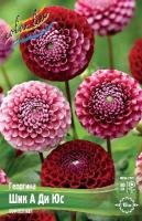 8795896a-cd79-11e5-91cd-001e673ebdea-1