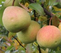 3e7e05ed-be10-11f0-891d-246e9611e8f7-1