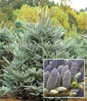 dd859ef4-d4de-11f0-891e-246e9611e8f6-1