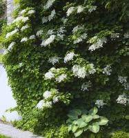 39db71cf-c16d-11f0-891d-246e9611e8f7-1