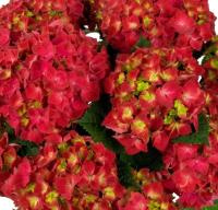 7de59f43-ce96-11f0-891e-246e9611e8f6-1