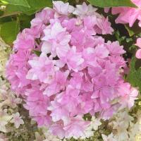 e0e069bf-ce90-11f0-891e-246e9611e8f6-1