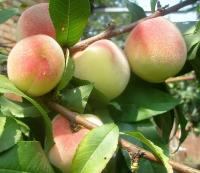 30bfea62-cc05-11ef-8915-246e9611e8f5-1