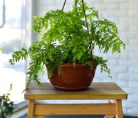 68926630-57fe-11ed-aea3-001e673ebdea-1