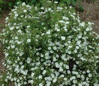 9e510081-112f-11f0-8918-246e9611e8f6-1