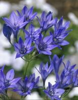 01c8f87e-dfcb-11ef-8915-246e9611e8f5-1