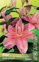 e85ddbc0-ce82-11f0-891e-246e9611e8f6-1