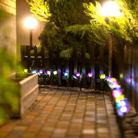 bd068b70-2fb7-11ef-890e-246e9611e8f7-1