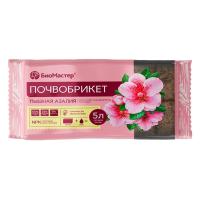 7348a083-be02-11ef-8914-246e9611e8f5-1