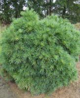 5cd48f8e-70cf-11ed-be6f-001e673ebdea-1