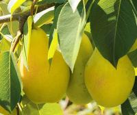 bf2c3257-be22-11f0-891d-246e9611e8f7-1