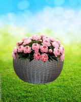 531c7987-df1c-11f0-891e-246e9611e8f6-1