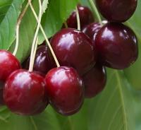 a019b920-be46-11f0-891d-246e9611e8f7-1