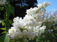 63bf35ed-2f8d-11ef-890e-246e9611e8f7-1