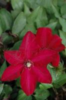 653dc0a1-2e68-11e8-a7ea-005056c00008-1