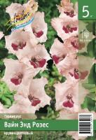 144a684c-cf49-11f0-891e-246e9611e8f6-1