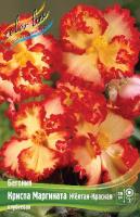 99413954-679d-11ed-bd4c-001e673ebdea-1