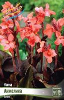 7174125d-2dcf-11e8-a7ea-005056c00008-1