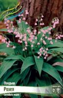 586e0597-5940-11e0-b405-00500454e615-1