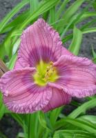 3c9d8eab-a091-11e3-8625-001e673ebdea-1