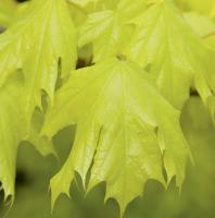 8a21ba3e-114b-11f0-8918-246e9611e8f6-1