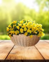 b349e796-da7c-11f0-891e-246e9611e8f6-1