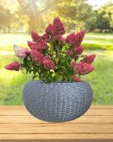 f69a7626-da8a-11f0-891e-246e9611e8f6-1